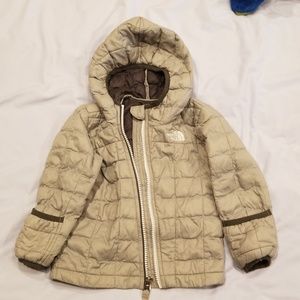 Northface Thermoball Jacket 12-18M